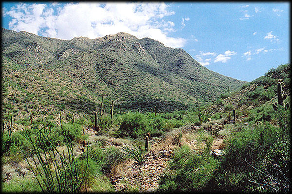 Bell Canyon, from near the end of Bell Road, in the McDowell Sonoran Conservancy, in Scottsdale, Arizona.