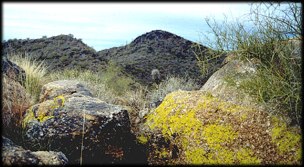 Yellow Paint Lichen on granite of Precambrian age on Black Mountain, next to Carefree, Arizona.