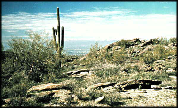 Rocas metalizadas pueden ser observadas en el Hidden Valley Trail en South Mountain Park, Phoenix, Arizona.