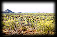 Hohokam truquoise trade route from Village of the Scorpions.
