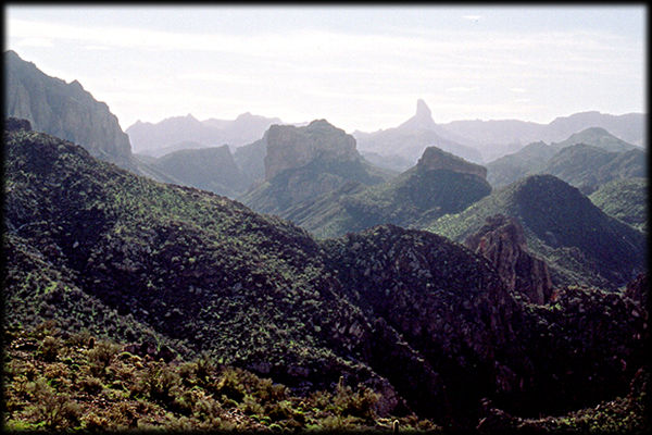 An absolute wilderness of canyons, gorges, and sheer cliffs make the Superstition Mountains, near Phoenix, Arizona, a nearly impassible range.