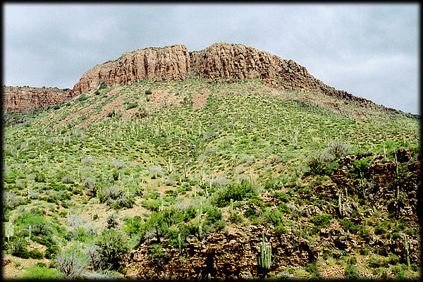 Massive quartzite cliffs rise high above streams in the lower Sierra Ancha of central Arizona.
