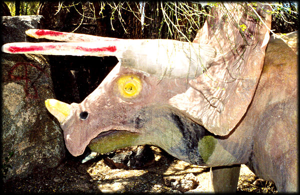 A constructed Triceratops greets the guests at the Somewhere Over the Rainbow Museum and Rock Garden near Lookout Mountain, in Phoenix, Arizona.